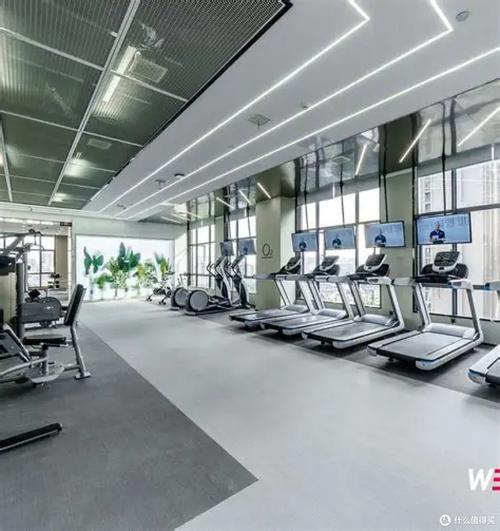 2026年广州健身私教工作室优选指南:五大优质机构深度测评